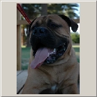 Kenoa and Clints from Larry Coldwater Payton 11mths so cool 08.jpg